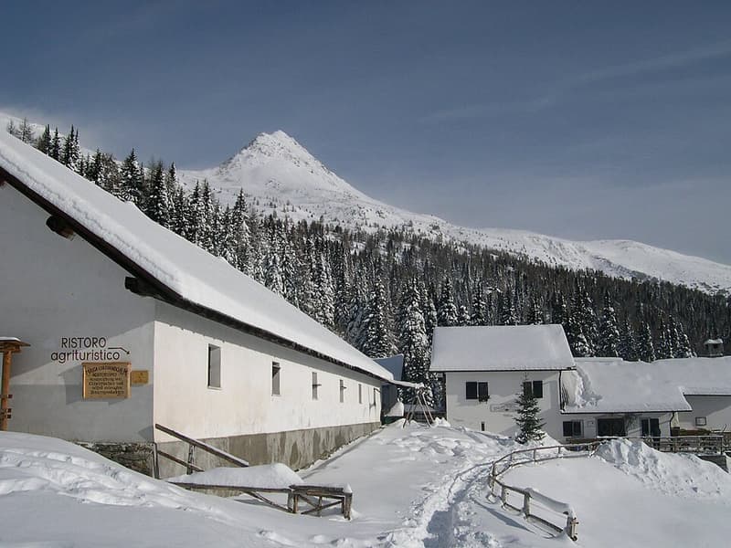 Malga Rinfreddo Comelico